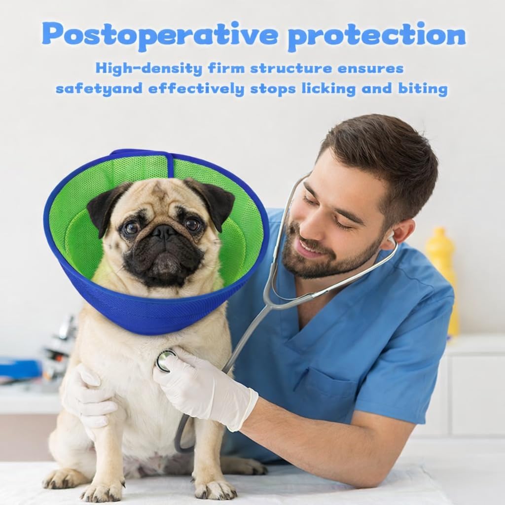 Dog wearing comfortable soft e-collar for wound protection
