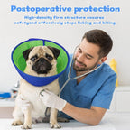 Dog wearing comfortable soft e-collar for wound protection