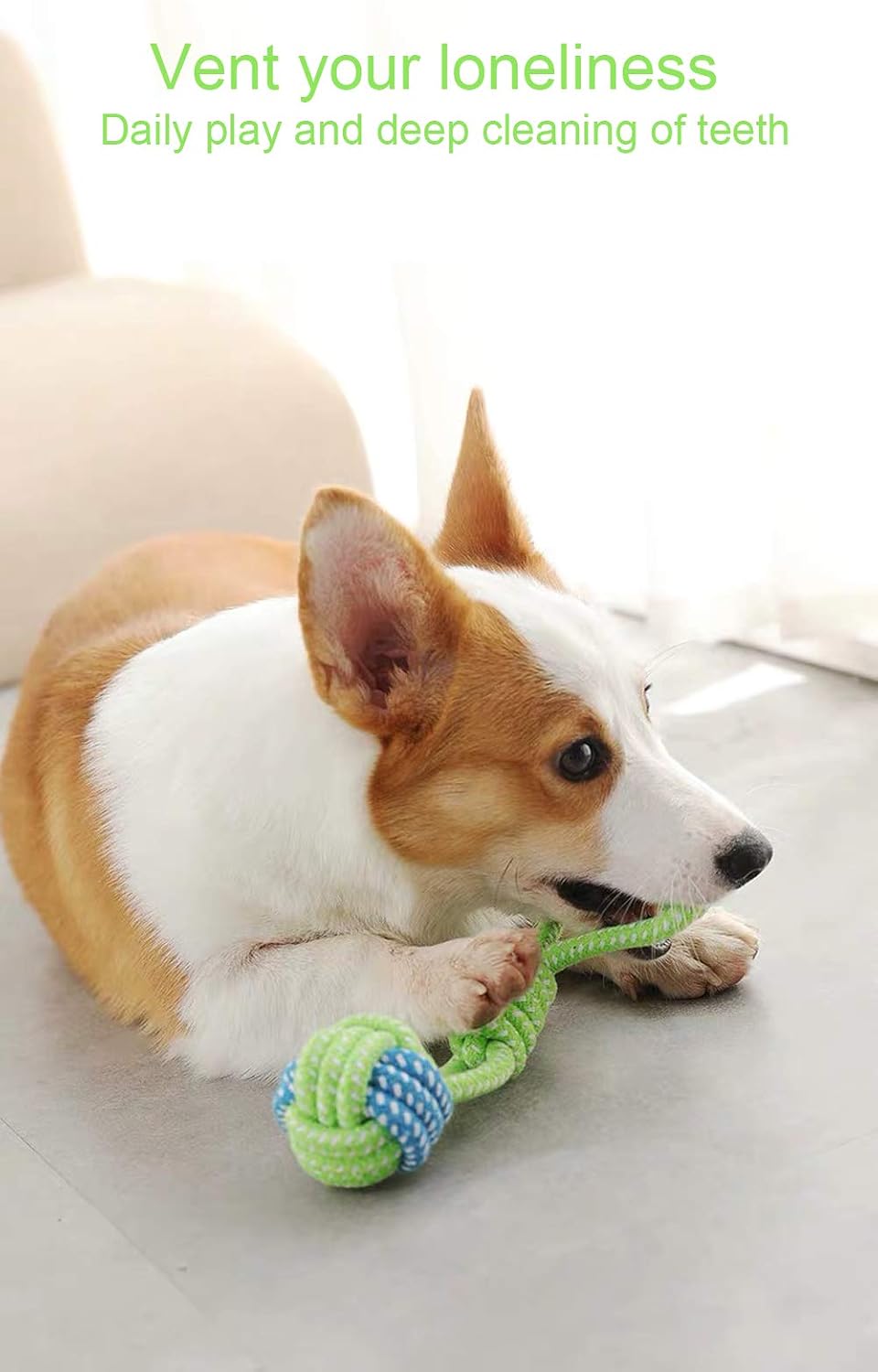 Sunglow washable pet chewing toy displayed flat to show its full twelve-inch length dimensions accurately.
