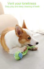 Sunglow washable pet chewing toy displayed flat to show its full twelve-inch length dimensions accurately.