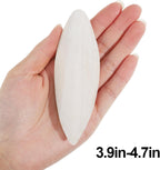 Cuttlebone for Birds 6 Pcs Large Natural Cuttlefish Bone for Parakeets - Image 6