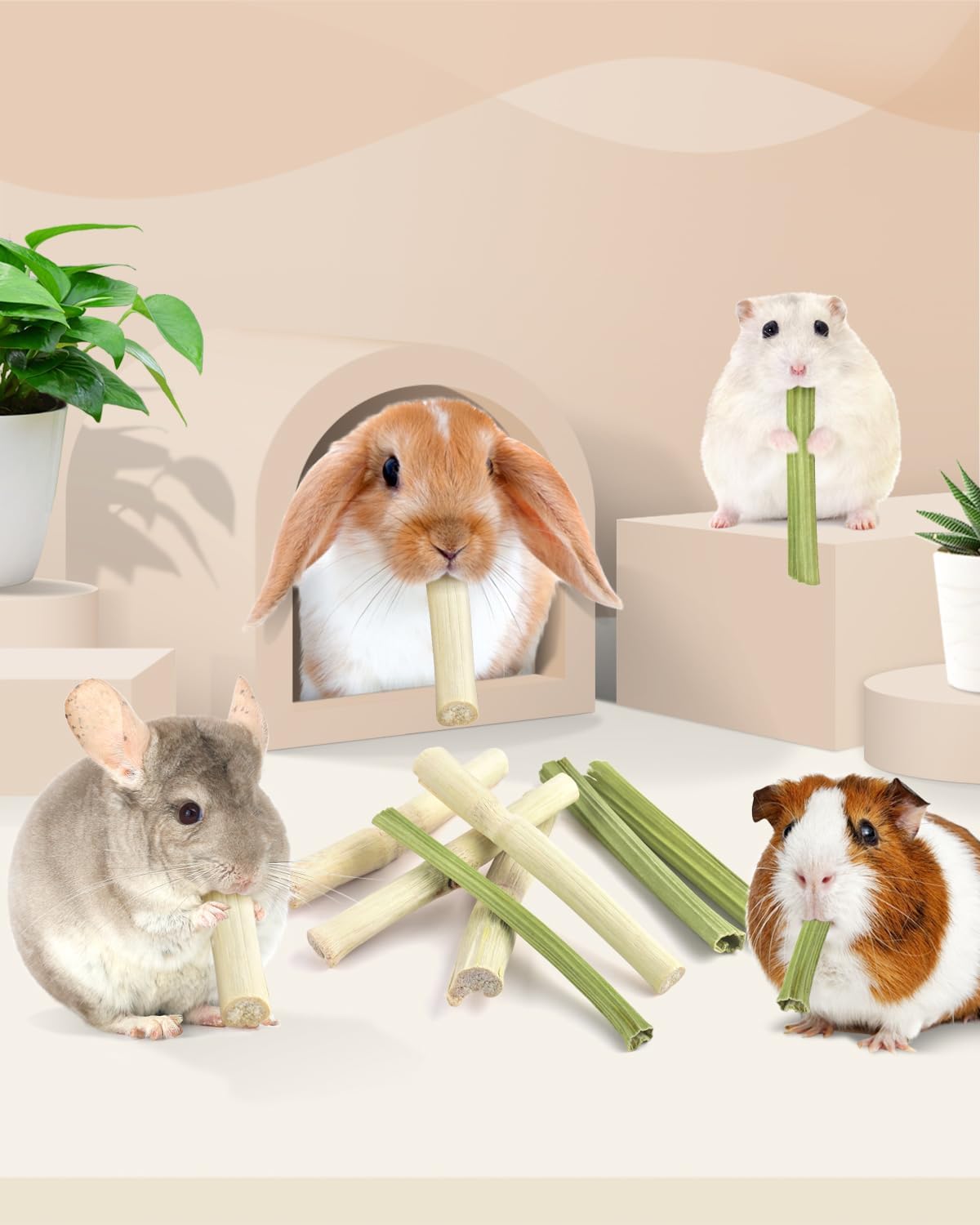 High fiber small animal dental treats close up image