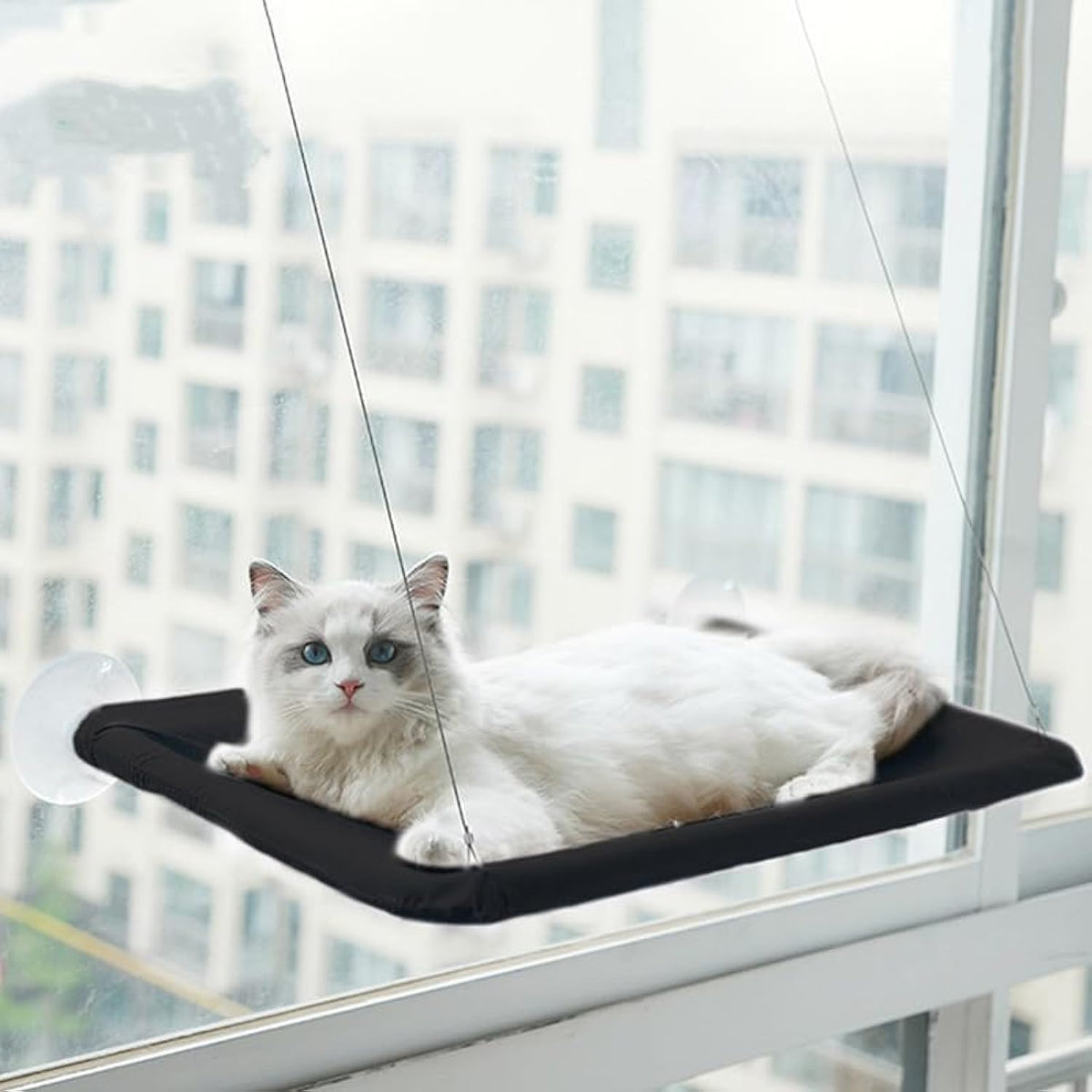 Packaging and lifestyle display of the JinRui-T khaki window perch for large indoor cats.