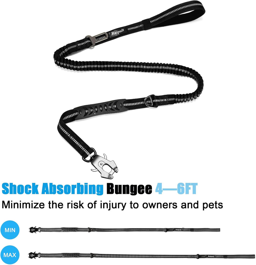 Close up of reflective safety threading on Raipult nylon dog leash