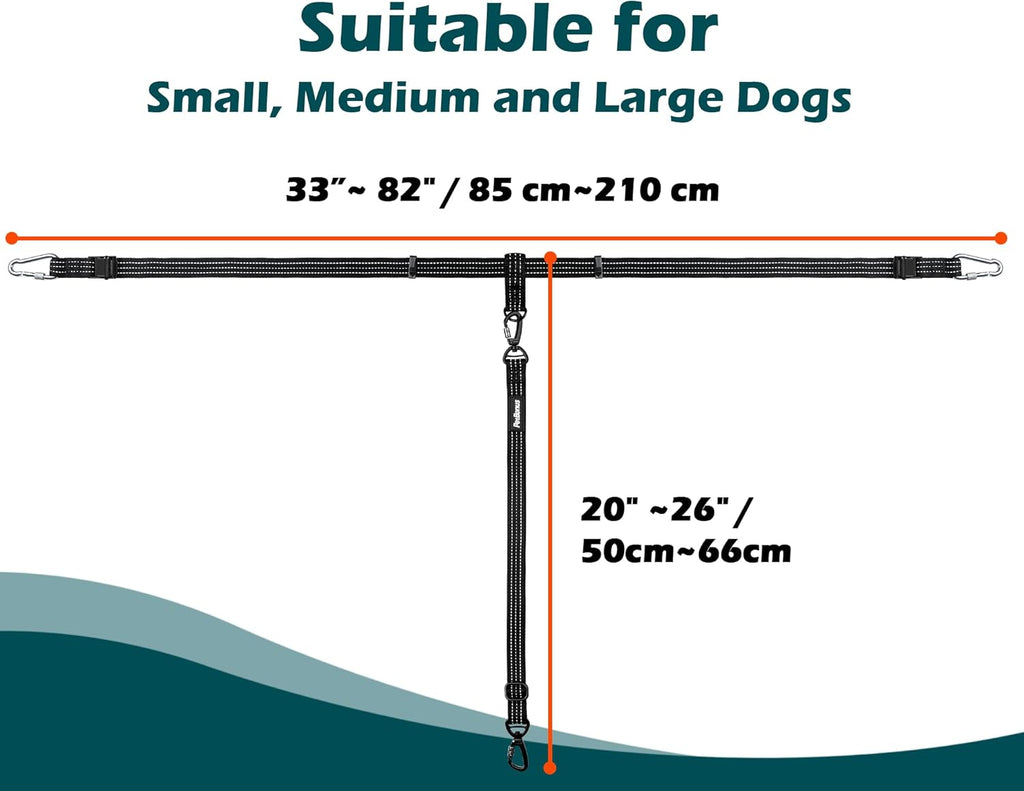 PetBonus safety lead showing reflective stitching detail