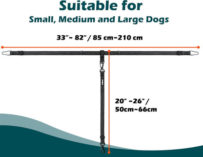 PetBonus safety lead showing reflective stitching detail