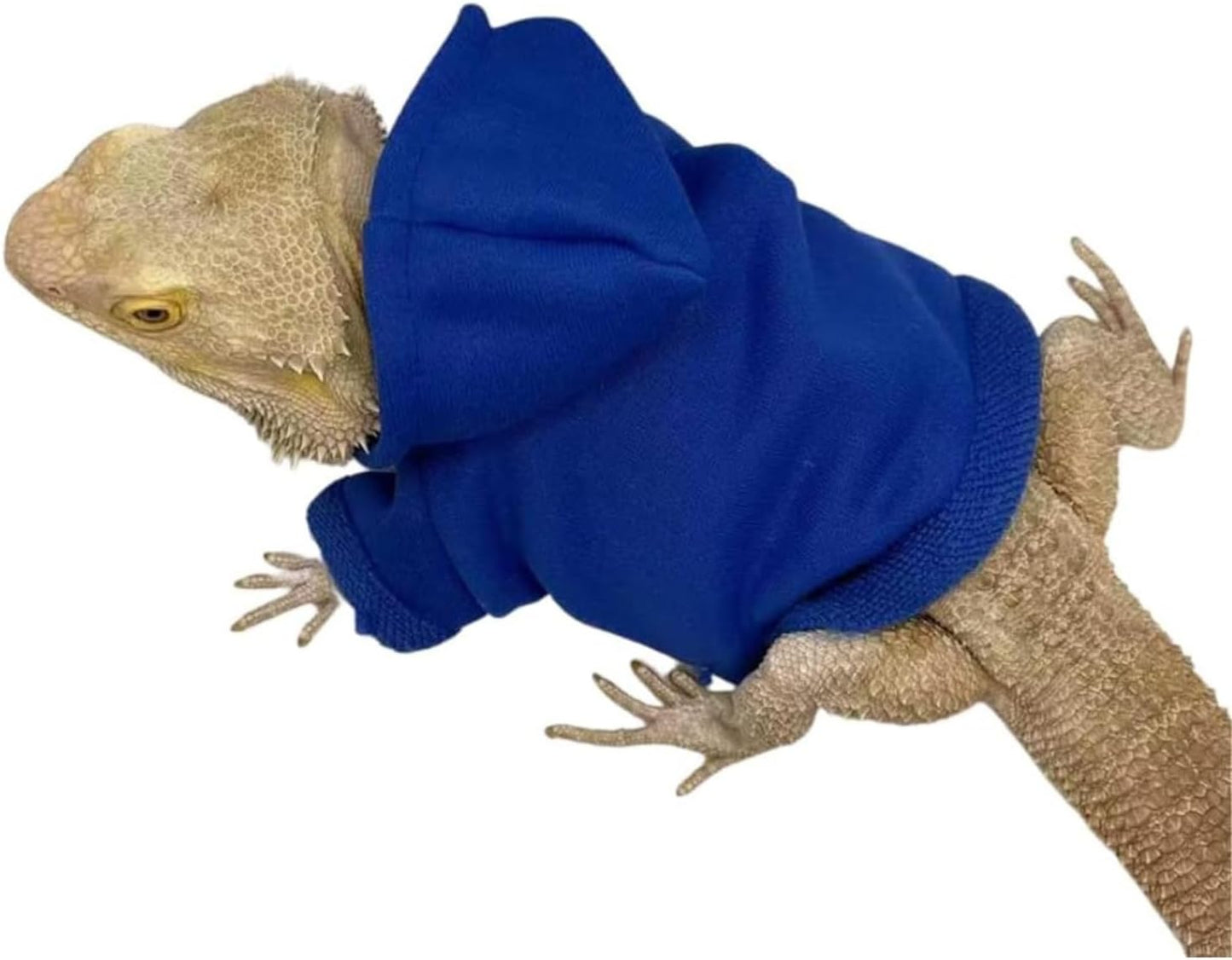 SEZDEKI exclusive adjustable blue hoodie apparel for pet lizards