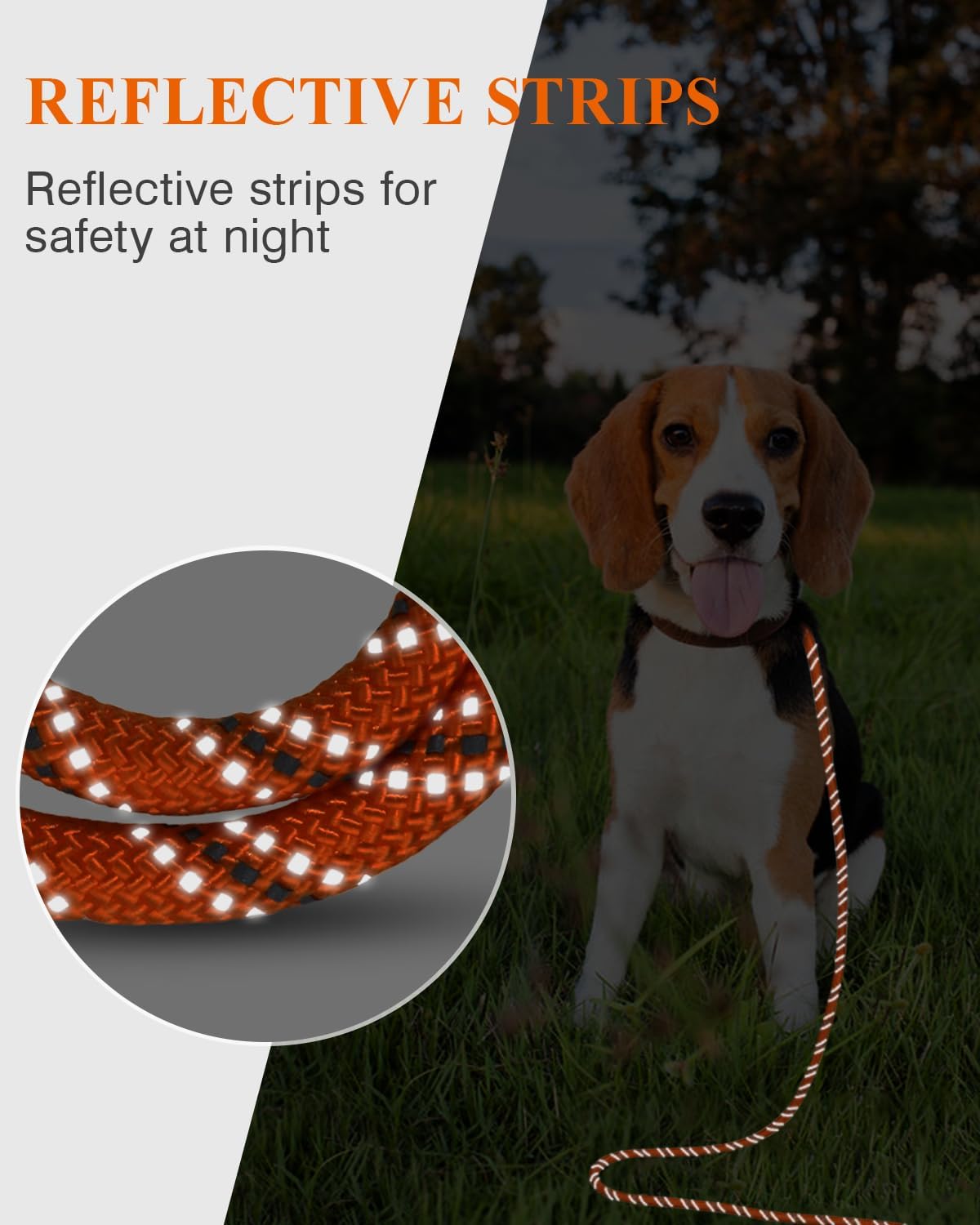 Taglory wear resistant nylon rope lead detailing reflective stitching visibility.