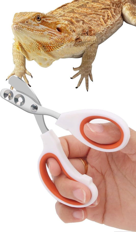 Engorgio stainless steel bearded dragon nail clippers front view showing orange handles.
