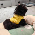Elastic pullover neck design on JAAQUCD extra small chihuahua winter sweater