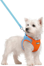 rabbitgoo Dog Harness Small Sized and Leash Set, Step in Soft Light Puppy Vest, Breathable Mesh Pet Harness, Reflective for Safe Easy Walking, Rose Red S - Image 13