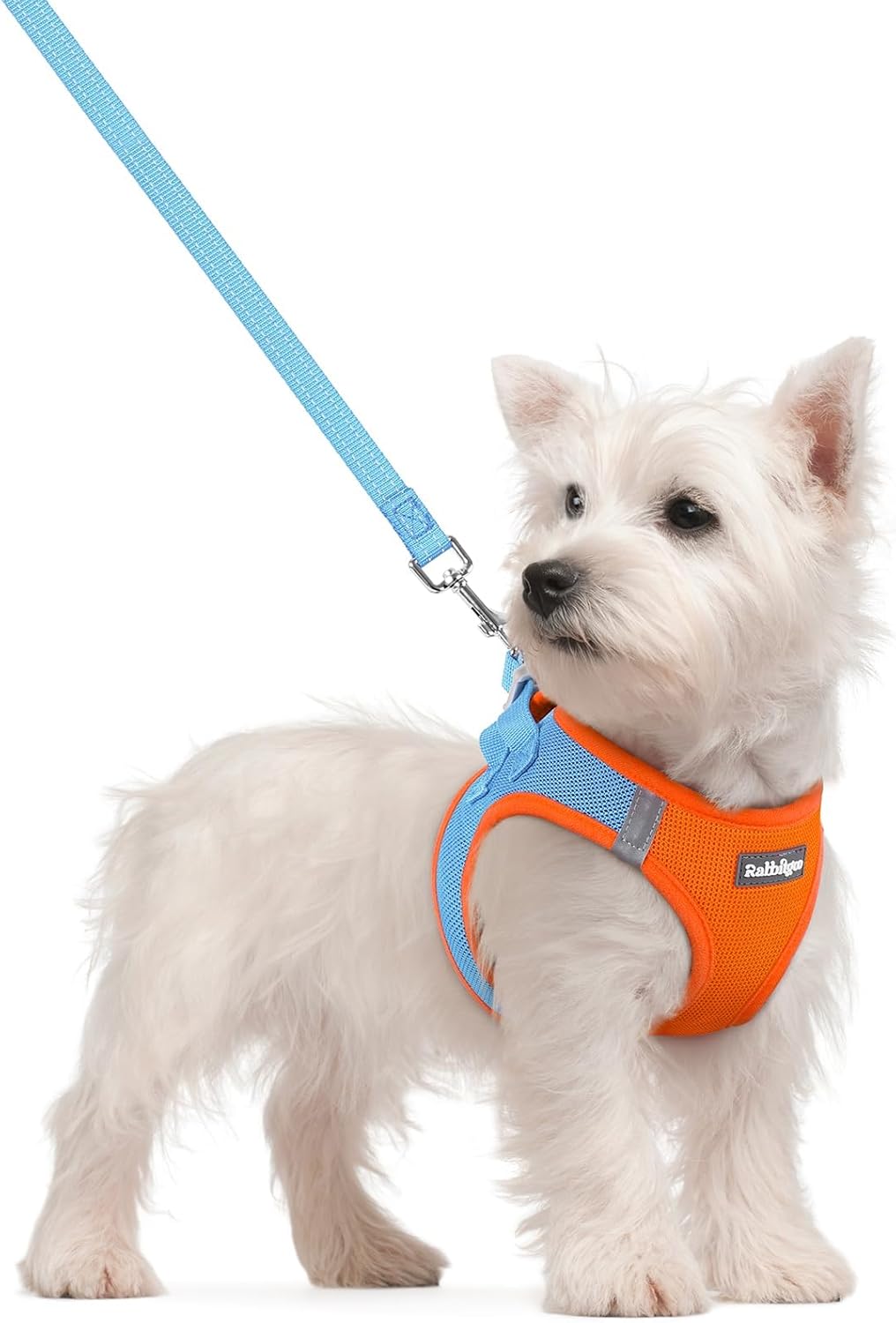 rabbitgoo Dog Harness Small Sized and Leash Set, Step in Soft Light Puppy Vest, Breathable Mesh Pet Harness, Reflective for Safe Easy Walking, Rose Red S - Image 13