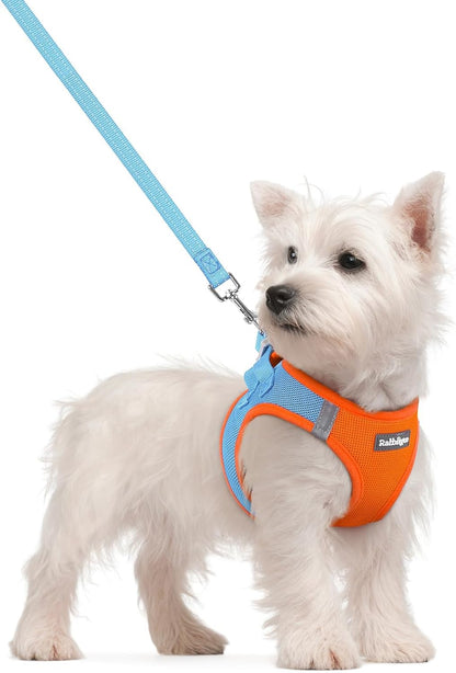 rabbitgoo Dog Harness Small Sized and Leash Set, Step in Soft Light Puppy Vest, Breathable Mesh Pet Harness, Reflective for Safe Easy Walking, Rose Red S - Image 13
