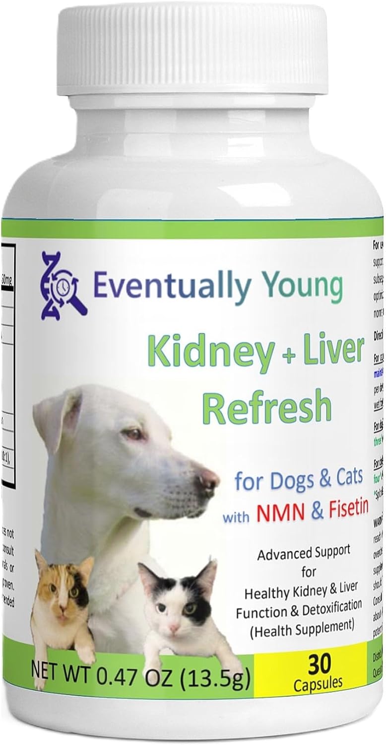 Cat Kidney Support Restore 4 Cats Dogs: 12-in-1 Benefits Super Phosphate Binder w/NMN, Fisetin, Antioxidants, Pre & Probiotic for Healthy Kidney, Liver Functions Anti-Aging & Longevity NAD+ (60 Caps) - Image 10