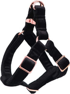 Small breed dog wearing white Aring Pet velvet harness
