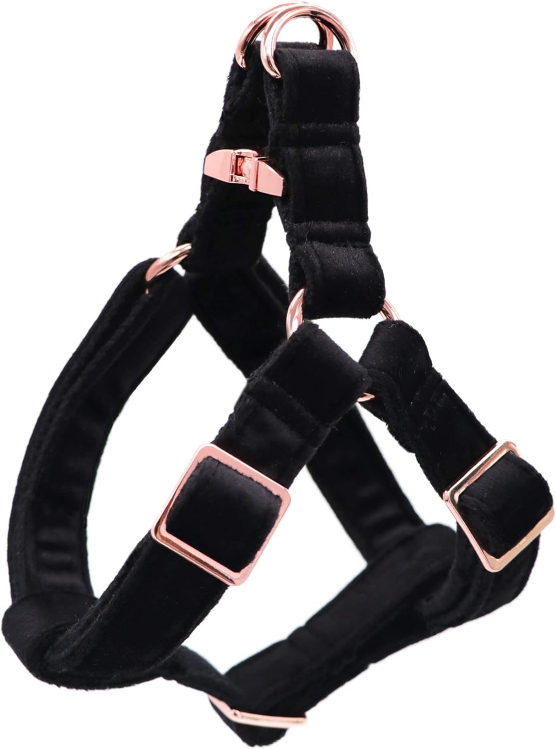 Small breed dog wearing white Aring Pet velvet harness
