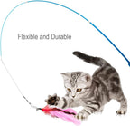 Cat playing interactively with extended feather teaser wand