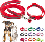 Small dog wearing Hotlion orange collar with quick release buckle