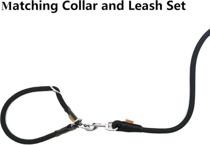 Aiminto heavy duty black training lead packaged and ready for Indian pet owners.