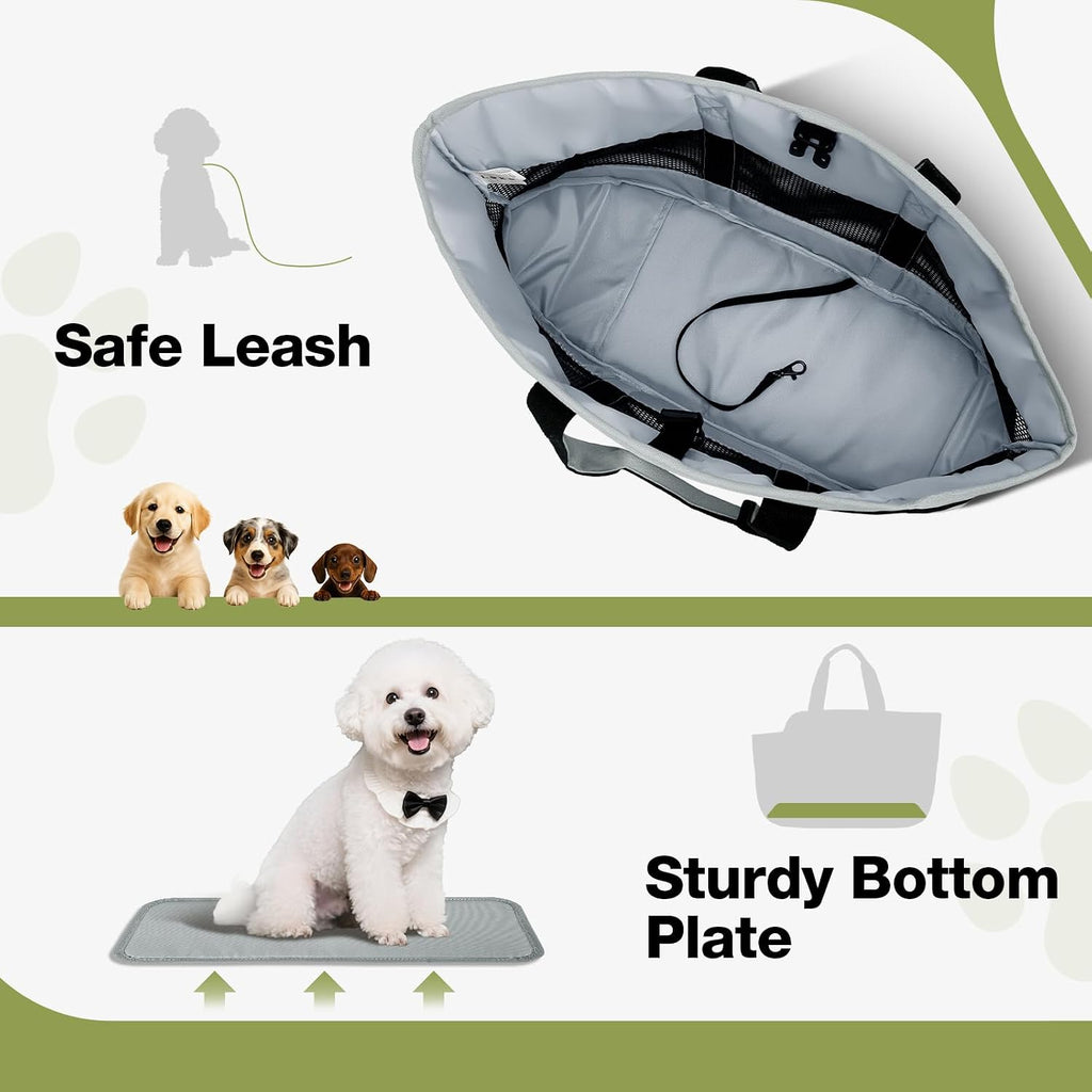 Travel lifestyle shot of Lekereise dog purse carrier