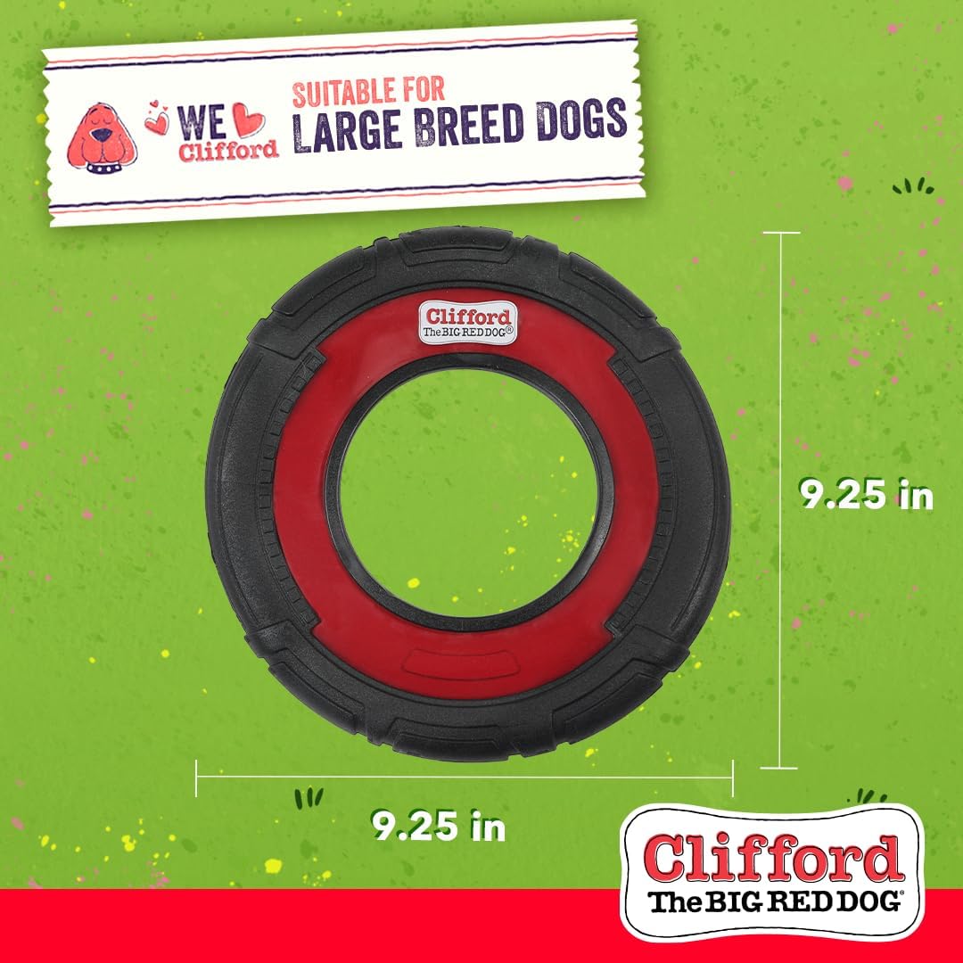 Close up of Clifford flying disc surface texture