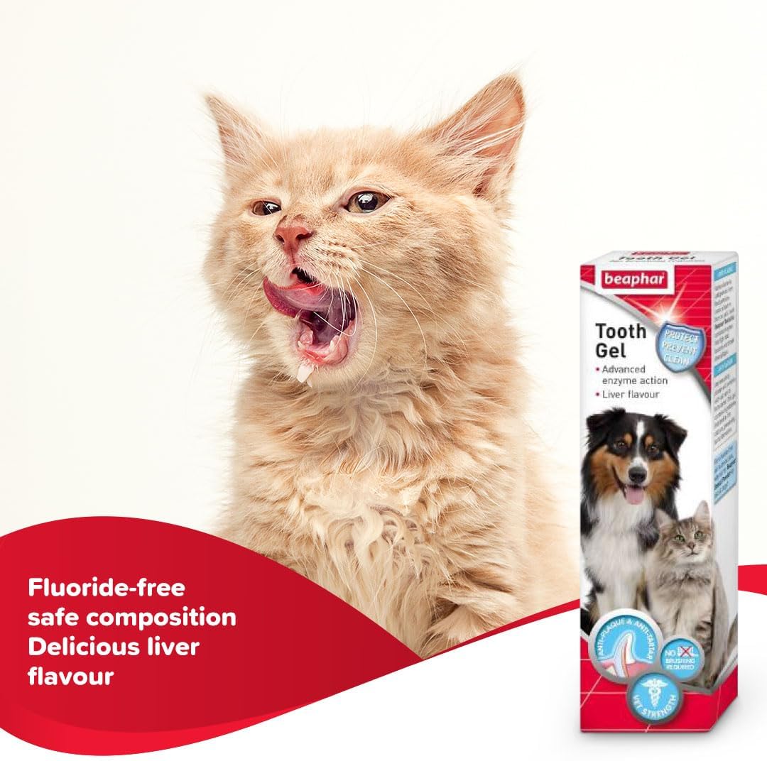Enzyme formula pet toothpaste package