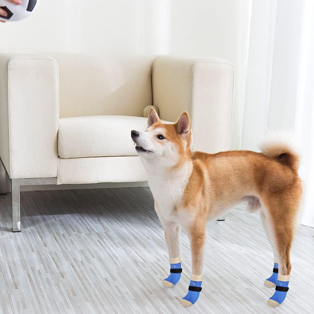 Scenereal dog socks package containing six pieces