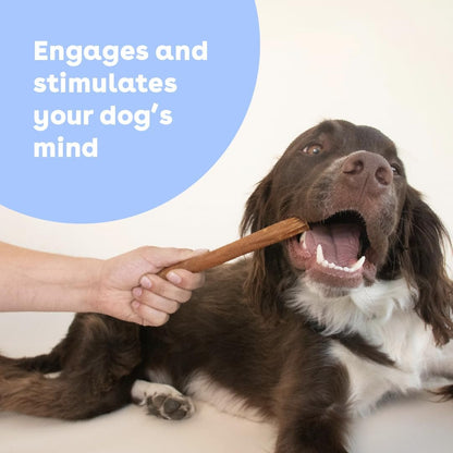 Pupford beef collagen dog chew sticks alternative to bully sticks