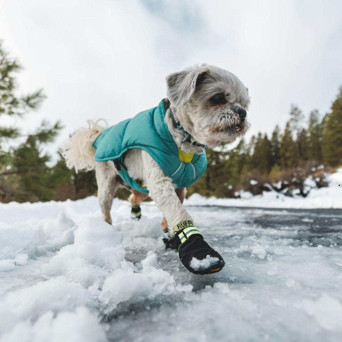Reflective trim detail on Ruffwear dog boots for low light visibility