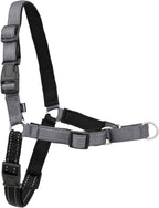 PetSafe Easy Walk Deluxe Dog Harness, No Pull Dog Harness - Perfect for Leash & Harness Training - Stops Pets from Pulling and Choking on Walks - Medium, Ocean - Image 11