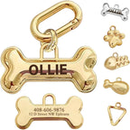 MEMOPAW personalized brass dog tag front view showing deep engraved pet name.