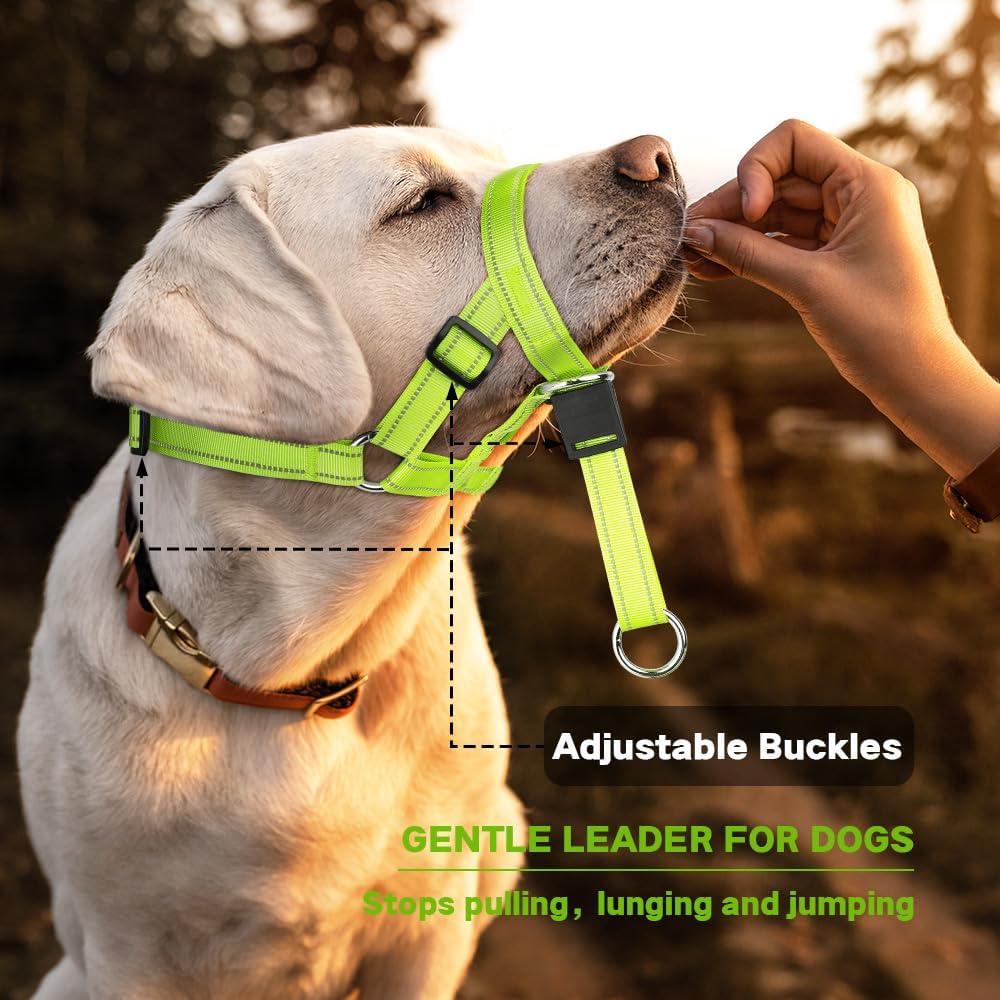 Side profile of a medium dog wearing the Candofly no pull head halter demonstrating leash attachment.