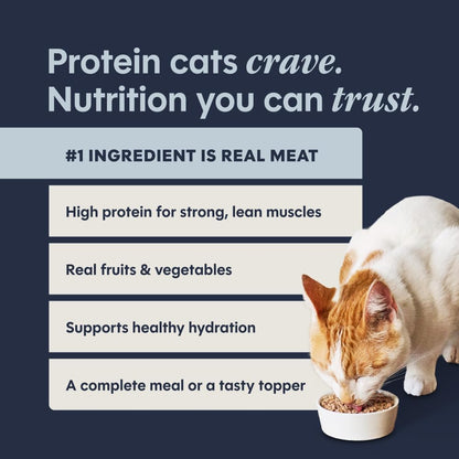 Cage-free duck recipe natural wet cat food can