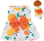 Back view of the OTKARXUS girl dog clothing highlighting the spread out hemline and stylish bowknot