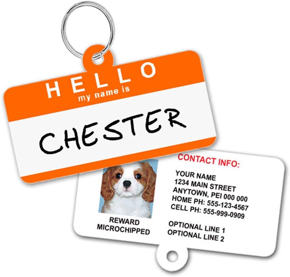 1 Cute Pooch custom pet ID tag front view showing name badge design