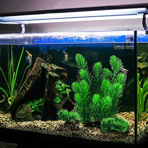 Safe PVC underwater plants for fresh and saltwater fish tanks.