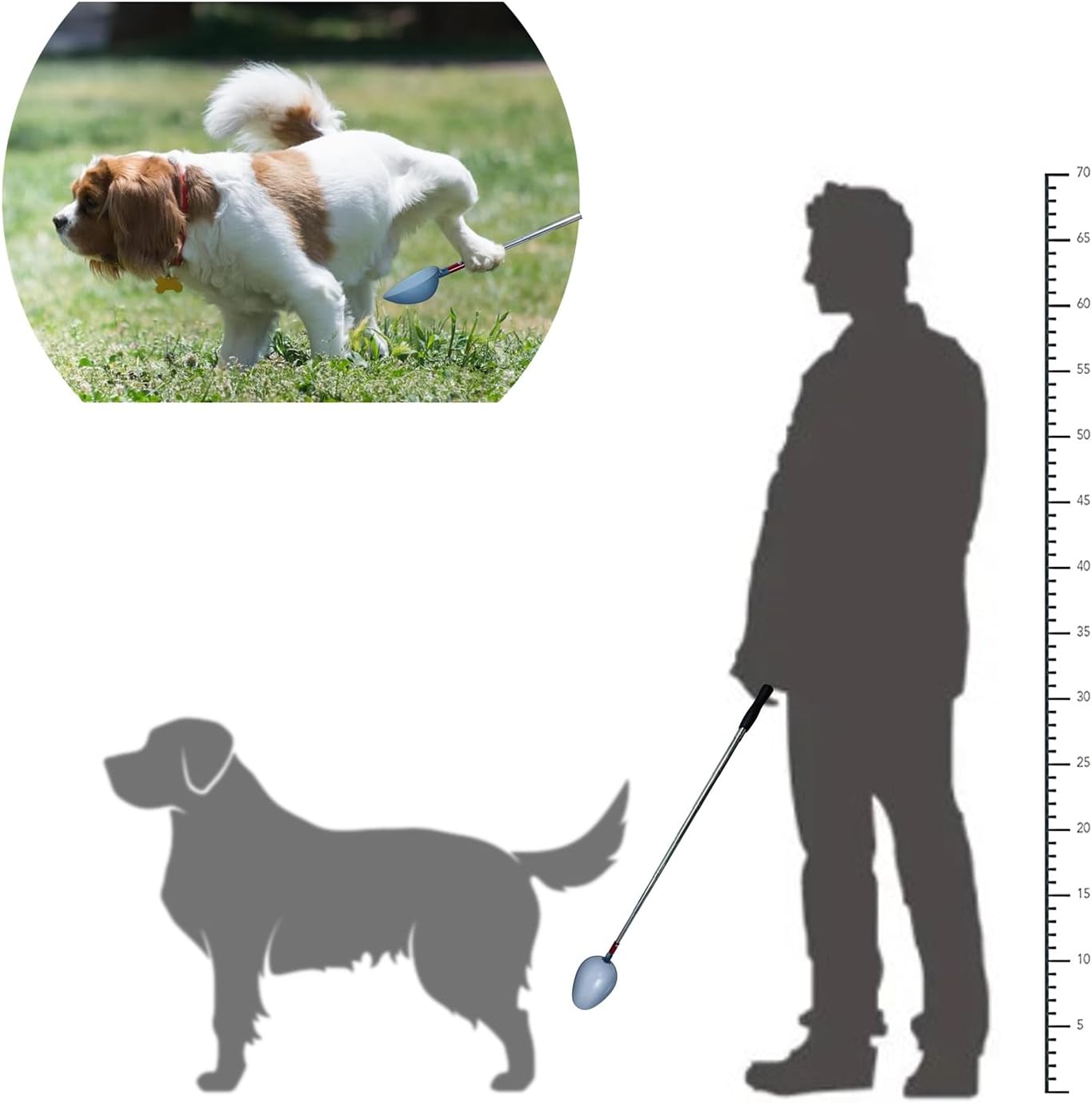 QMARK authentic pet urine catcher tool package contents for veterinary diagnostic use