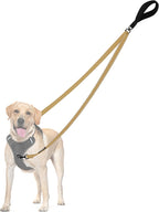 PetBonus Two Point Control Dog Leash, Works with No Pull Harnesses, No Tangle Training Leashes, Soft Padded and Reflective Walking Lead, Converts to Single Lead for Medium Large Dogs (Black) - Image 15