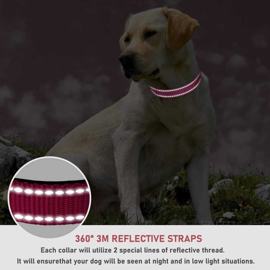 Side profile of adjustable small dog collar