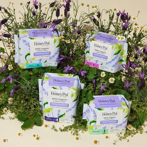The Honey Pot Company 20 count regular pads packaging showing leak proof protection