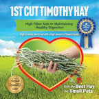 Small Pet Select grass hay close up of flower heads