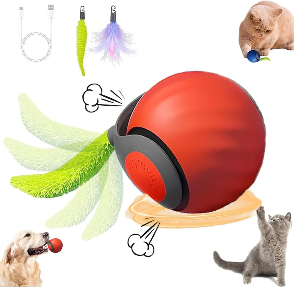 WJQYFJJS interactive pet exercise toy bundle with replaceable feather and fibrous attachments
