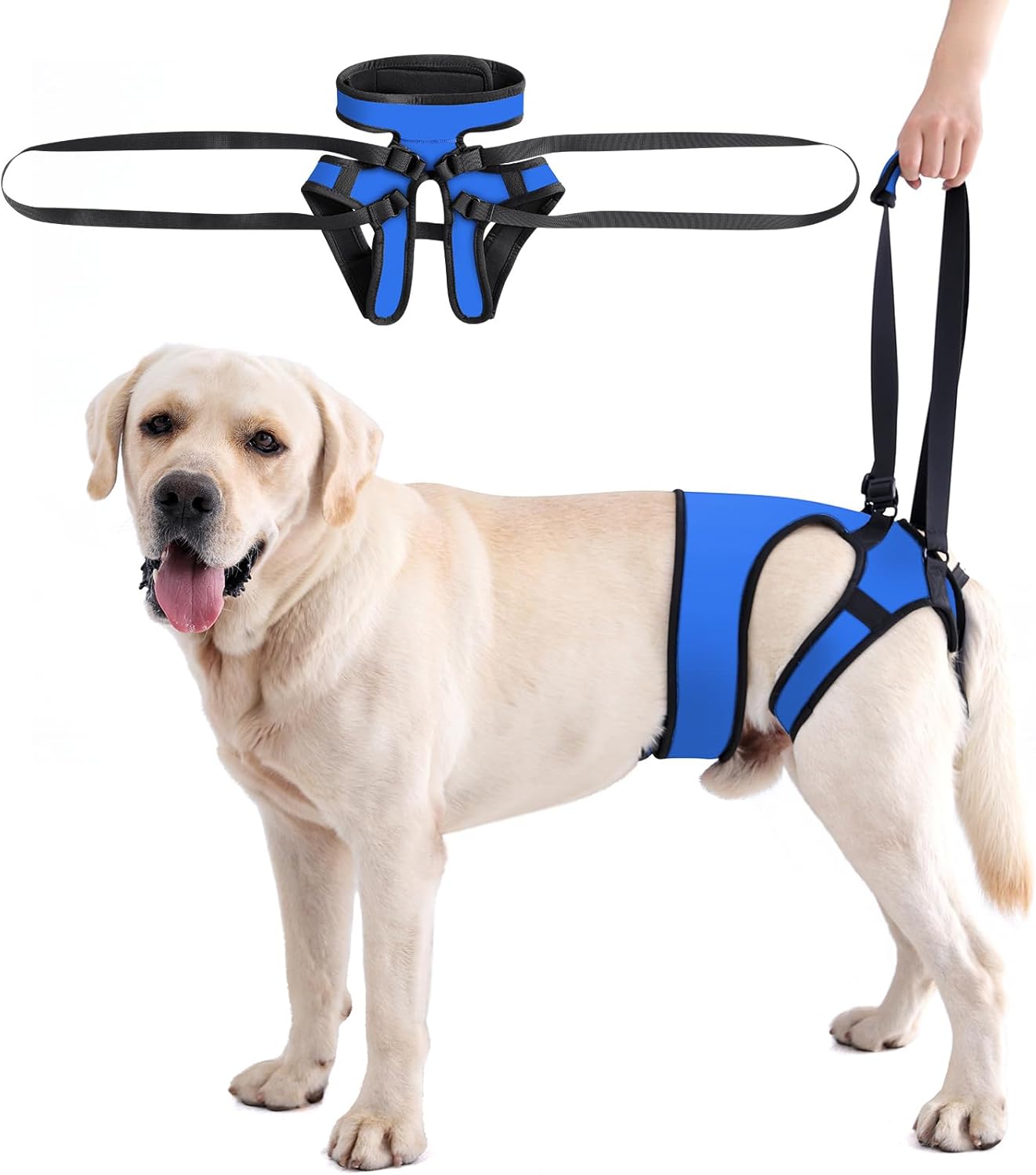 Grey adjustable hind leg support carrier for injured dogs