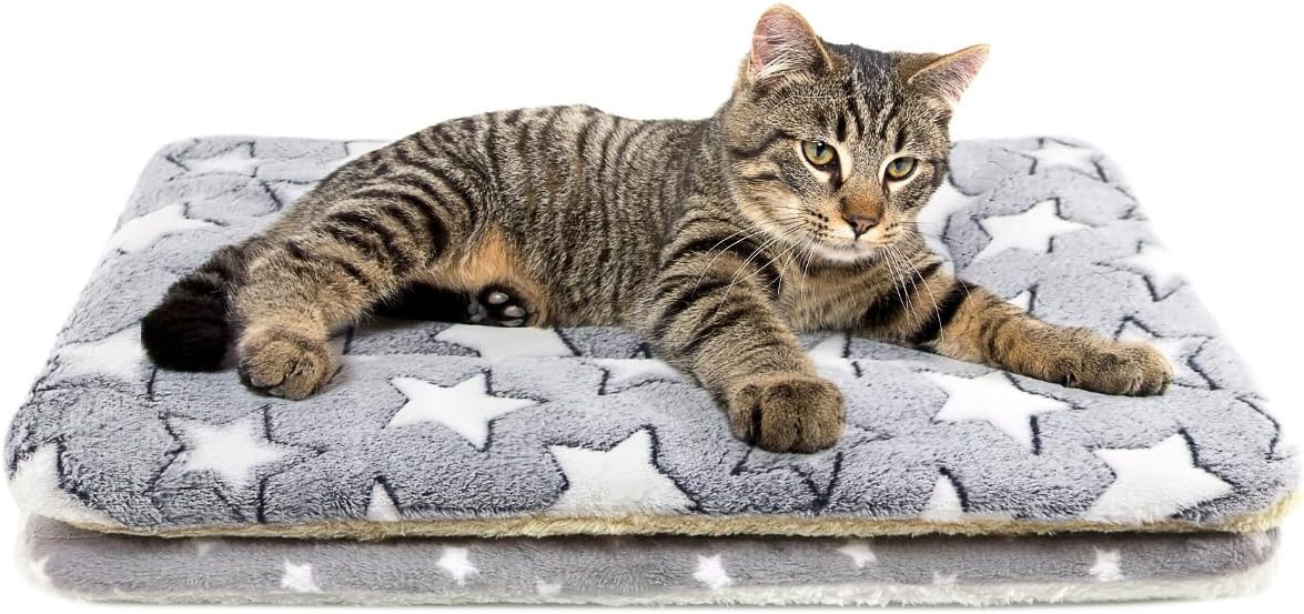 2 Pack Cat Blanket for Indoor Cats Ultra Soft and Warm Calming Cat Bed Fleece Pet Mat for Anxiety and Stress Washable Kitten Blanket - Image 11