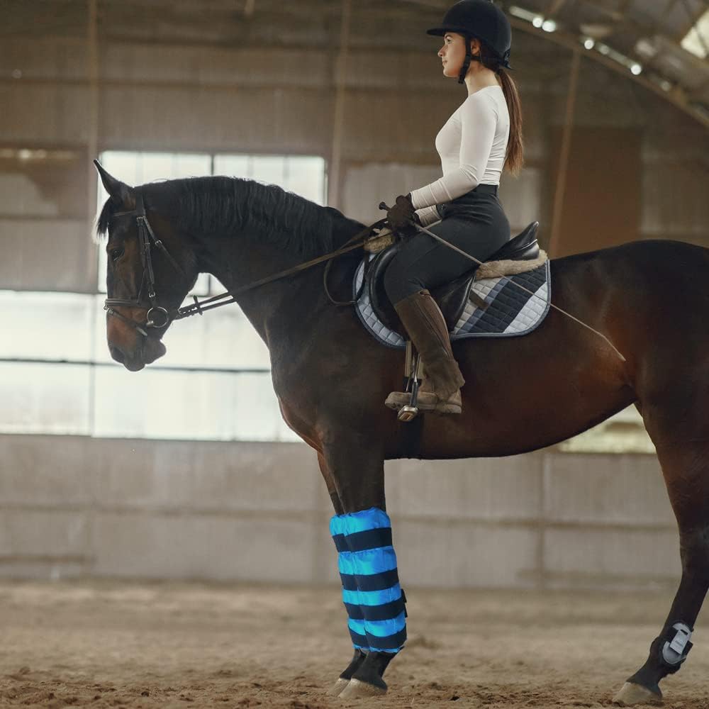 MR.ICE blue cooling wraps for horse hock knee ankle injury recovery