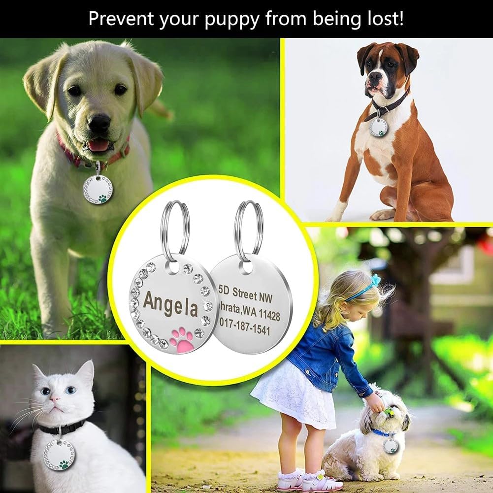 Custom laser engraved pet name tag attached to a dog collar.