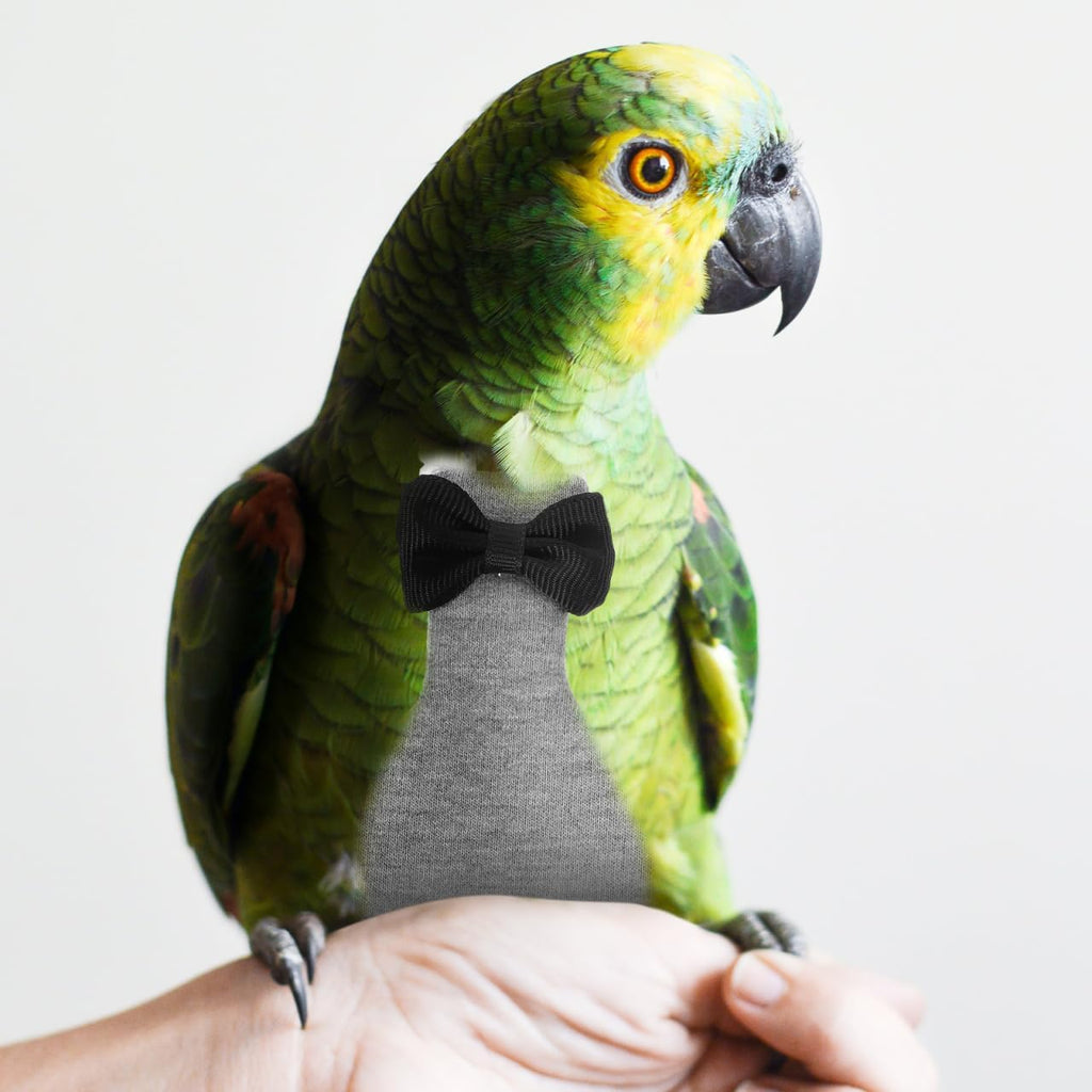 Lightweight flight suit for pet birds showing ergonomic fit