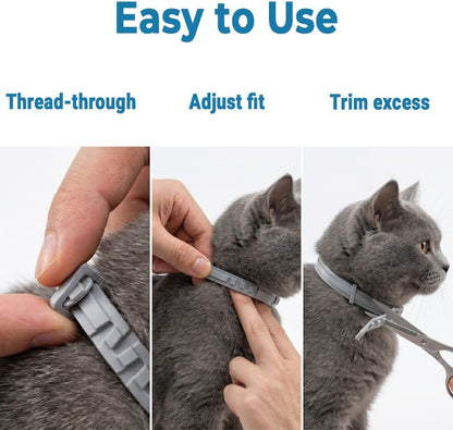 Two pack flea and tick collar set for feline health