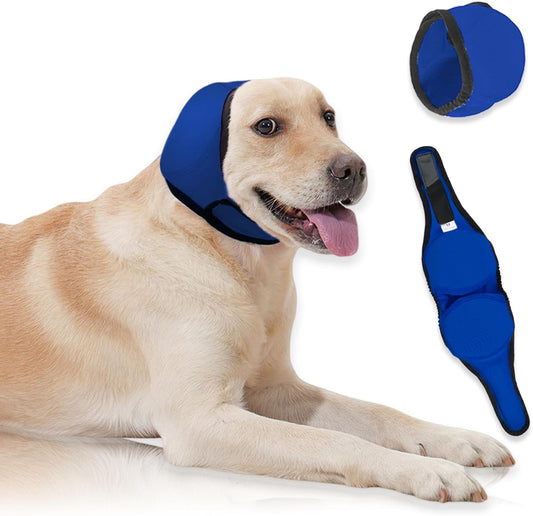 Papiamen dog ear muffs blue large size front view on an anxious pet.