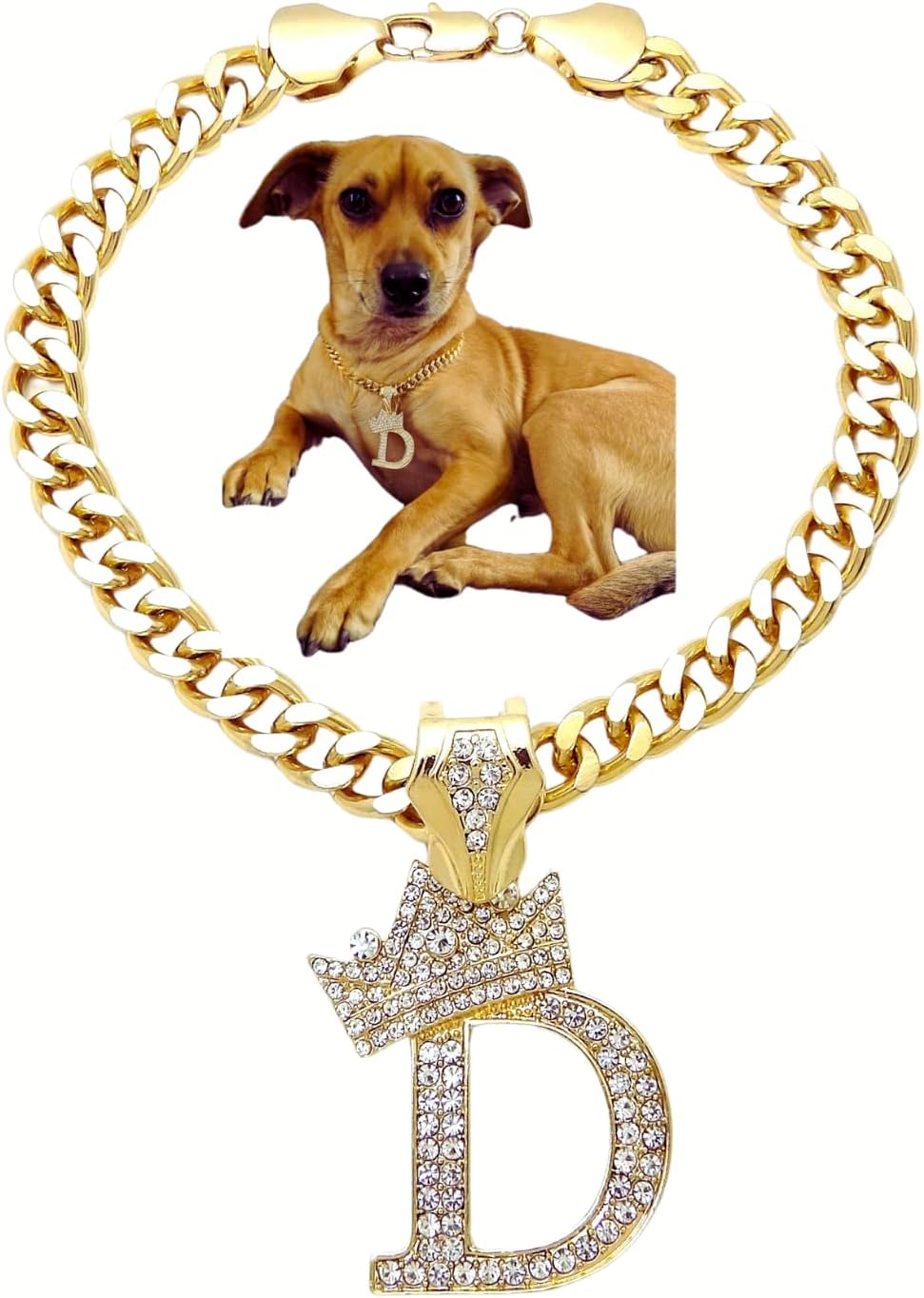 Side view of the 10 inch personalized gold tone dog chain on a small pet